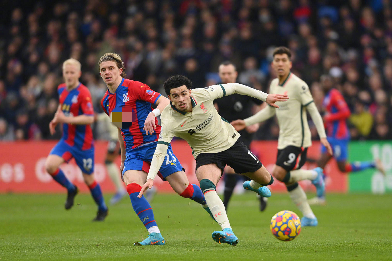 联赛的赵继 联赛的赵继